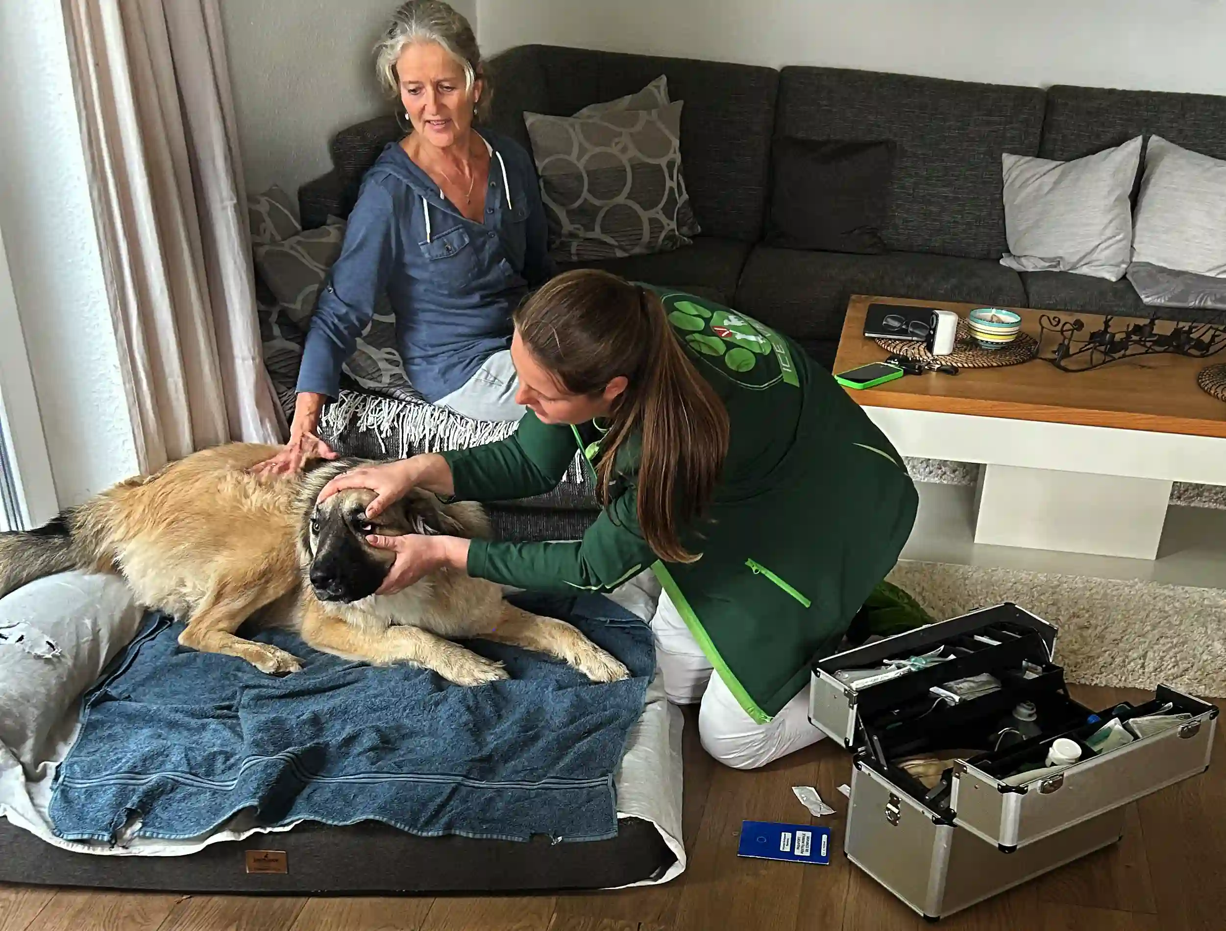 Hausbesuch: Tierärztin untersucht einen Hund in seinem Körbchen, die Besitzerin sitzt daneben